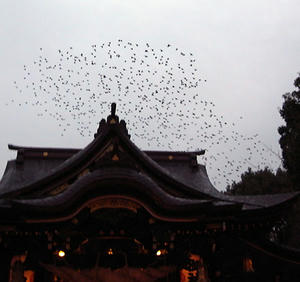 20100131.jpg