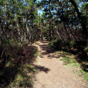20100207.jpg
