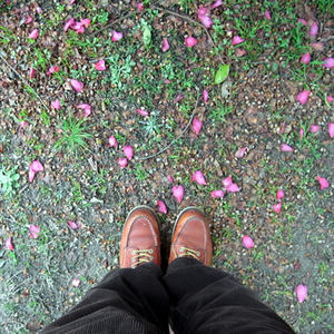 20100214.jpg