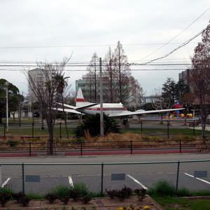 20100315.jpg