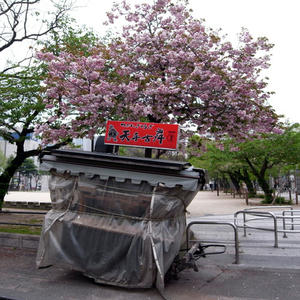 2010041801.jpg