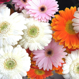 20100506.jpg