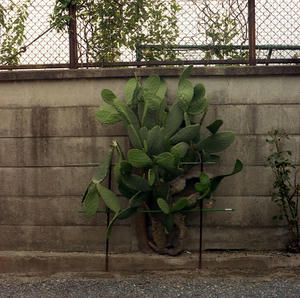 20110123.jpg