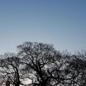 20110206.jpg