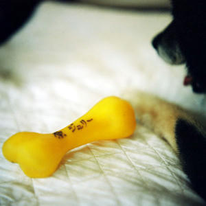 20110328.jpg