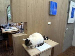 2010051501.jpg