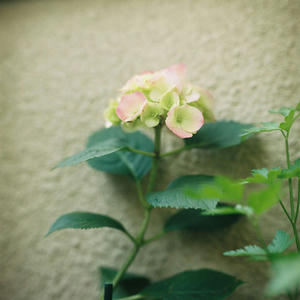 2011060601.jpg
