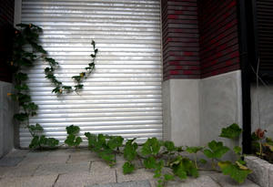 20110710.jpg
