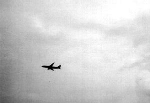 20110911.jpg