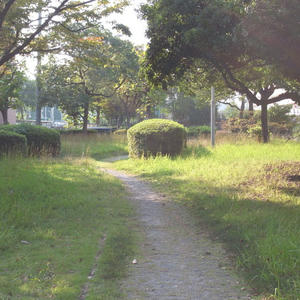 20111010.jpg