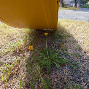 20111016.jpg