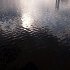 20120102.jpg