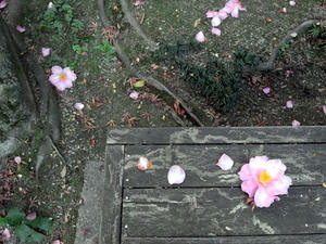 2012010302.jpg