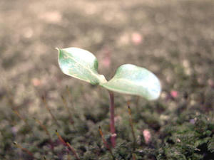 20120225.jpg