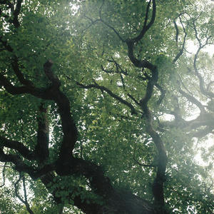 2012031001.jpg