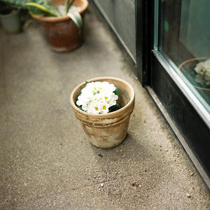 20120318.jpg