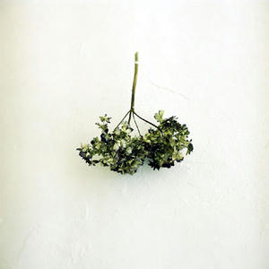 20120408.jpg