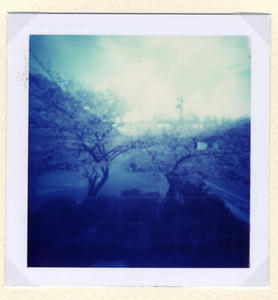 2012041502.jpg