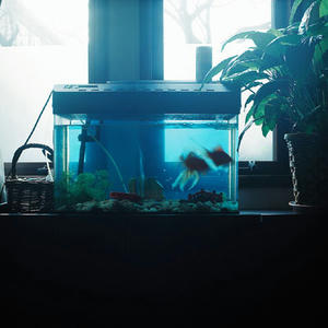 20130701.jpg