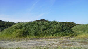201208151.jpg