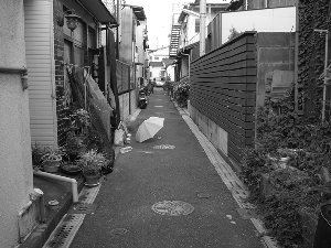 2013081107.gif