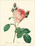 exhi_pic1.jpg