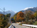 20101106_1.jpg