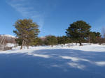 20101212_1.jpg