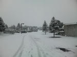 20110211.jpg