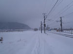 20110212.jpg