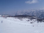 20110226.jpg