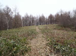 20110503.jpg
