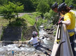 20110619_1.jpg
