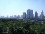 20110624_1.jpg
