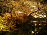 20120407.jpg
