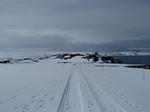 20121125_1.JPG