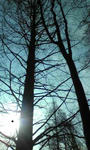 Image010.jpg