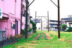 FH030021-3.jpg