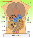 脳内メーカーアンダーヘアー