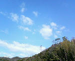P1160086-2.jpg