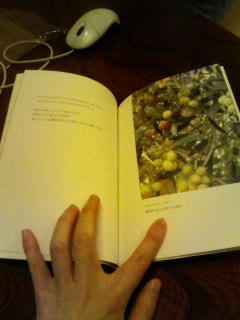 200911042125000.jpg