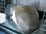 CIMG8301.JPG