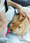 20080710172431.jpg