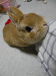 IMGP0170.JPG