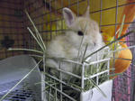IMGP0004.JPG