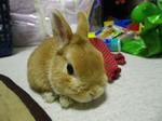 IMGP0010.JPG