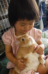IMGP0039s.jpg