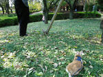 IMGP2251.JPG