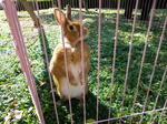 IMGP2262.JPG