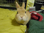 IMGP3171.JPG